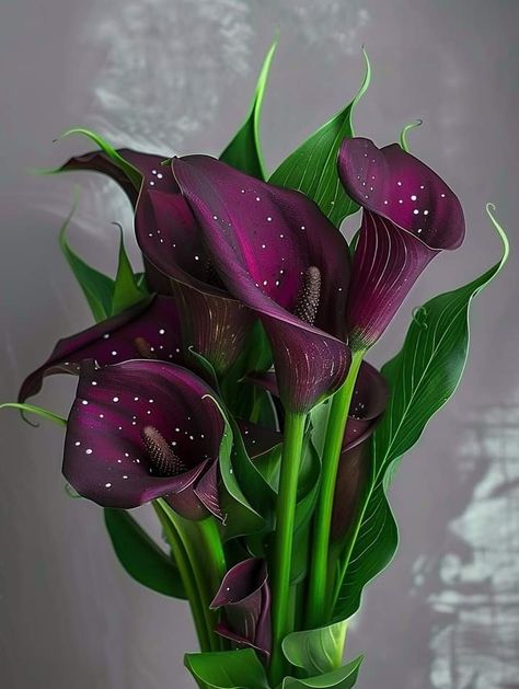 Mermaid Flowers, Purple Calla Lilies, Goth Garden, Strange Flowers, Large Flower Arrangements, Rose Flower Wallpaper, Exotic Orchids, Nothing But Flowers, Unusual Flowers