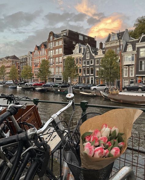 Places Around The World Aesthetic, Cute City Aesthetic, Amsterdam Netherlands Aesthetic, Amsterdam Aesthetic Summer, Around The World Aesthetic, Travel The World Aesthetic, Nederland Aesthetic, Down Town Aesthetic, Europe Trip Aesthetic