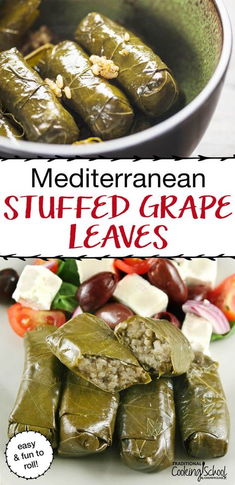 Dolmades Recipe, Grape Leaves Recipe, Stuffed Lamb, Albanian Recipes, Greek Foods, Donna Mills, Stuffed Grape Leaves, Traditional Cooking, Lebanese Cuisine