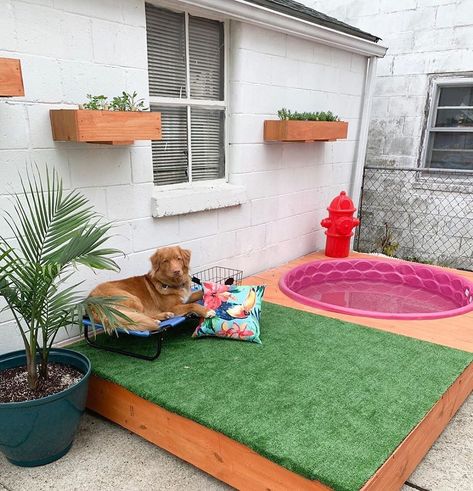 Lowe's Home Improvement on Instagram: “Now that everybody is a homebody, finding rest and relaxation may look a little different. Your living room could almost pass for the spa,…” Dog Pool Diy, Outdoor Dog Area, Diy Dog Run, Backyard Dog Area, Dog Play Area, Indoor Garden Rooms, Spoiled Puppy, Dog Friendly Backyard, Dog Backyard