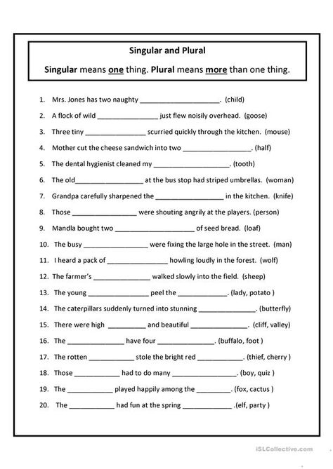 Singular And Plural Nouns Worksheet, Plurals Worksheets, Plural Nouns Worksheet, 6th Grade English, Singular Plural, 6th Grade Worksheets, Singular And Plural Nouns, English Grammar Exercises, Bahasa China