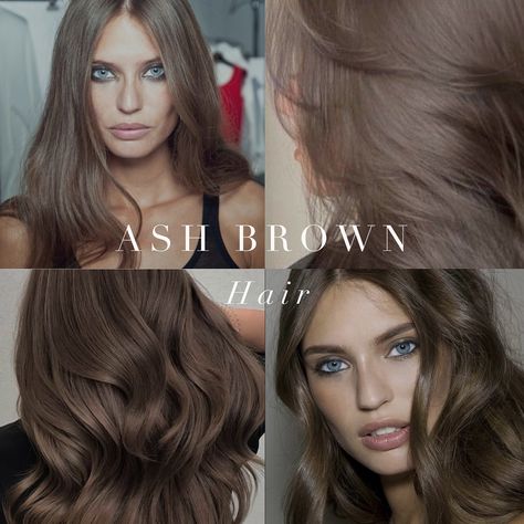 Cool toned hair inspiration from the Summer and Winter palettes 🤍 . #coloranalysis #winterpalette #summerpalette #coloranalyst #colouranalysis Medium Skin Hair Color, Cool Toned Hair, Cool Tone Brown Hair, Palette Hair Color, Cool Tone Hair Colors, Brown Hair Tones, Soft Hair Color, Soft Brown Hair, Cold Hair