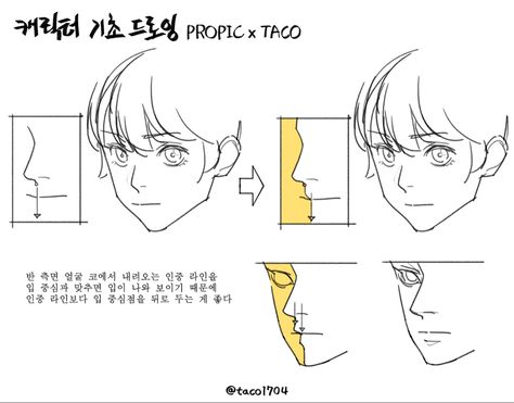 Taco Drawing, Manga Tutorial, 얼굴 드로잉, Anatomy Tutorial, Art Advice, Nose Drawing, Manga Drawing Tutorials, Anatomy Sketches, Body Reference Drawing