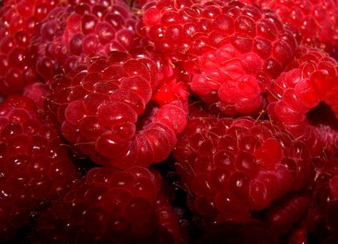 Red In Nature, Red Aesthetic, Aesthetic Food, Pretty Pictures, Kiwi, Aesthetic Pictures, Favorite Color, Watermelon, Raspberry