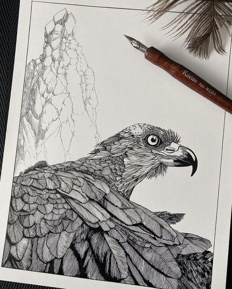 Ink Bird Drawing in Black and White Osprey Bird, Micron Pen Art, Fineliner Art, Eagle Drawing, Ink Pen Art, Spirit Animal Art, Pen Art Drawings, Art Drawings Sketches Pencil, Ink Drawing Illustration