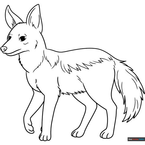 Free Jackal Coloring Page for Kids Jackal Drawing, Easy Drawing Guides, Panda Coloring Pages, Free Printable Coloring Sheets, Drawing Guides, Popular Cartoons, Kids Print, Drawing Book, Printable Coloring Sheets