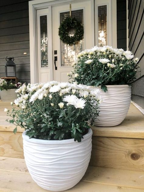 Love these white chalk painted flower pots, filled with white mums for fall. Neutral Farmhouse Fall Decor – Valley + Birch Front Porch Flowers, White Mums, Spring Porch Decor, Porch Flowers, Painted Flower Pots, Diy Outdoor Decor, Farmhouse Fall Decor, House With Porch, Front Porch Decorating