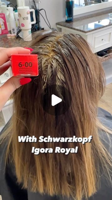 Hairstylist•Albany NY• Lived-In Hair•Dimensional Color•Blonding on Instagram: "High quality gray coverage with @schwarzkopfusa Igora Royal  Using shade 6-00  Fun Facts ❤️The IGORA ROYAL® High Definition Technology features a high definition color pigment matrix for the clearest tone direction, enhanced true-to-swatch results, amplified intensity and optimal coverage.  ❤️Lipid carriers amplify the pigment penetration and lock the color in by sealing the surface of the hair for long-lasting color retention.  @schwarzkopfpro #schwarzkopf #schwarzkopfusa #igoraroyal @behindthechair_com @oneshothairawards @marybehindthechair @kevin.givens @haleygable @_shayalexis @chrissylan @caitlyn_cummings @thebtcteam #btconeshot2024_colorvideo" Schwarzkopf Hair Color Formulas, Igora Color Chart, Igora Hair Color, Dimensional Color, Schwarzkopf Professional, Gray Coverage, Albany Ny, Toner, Hair Inspiration