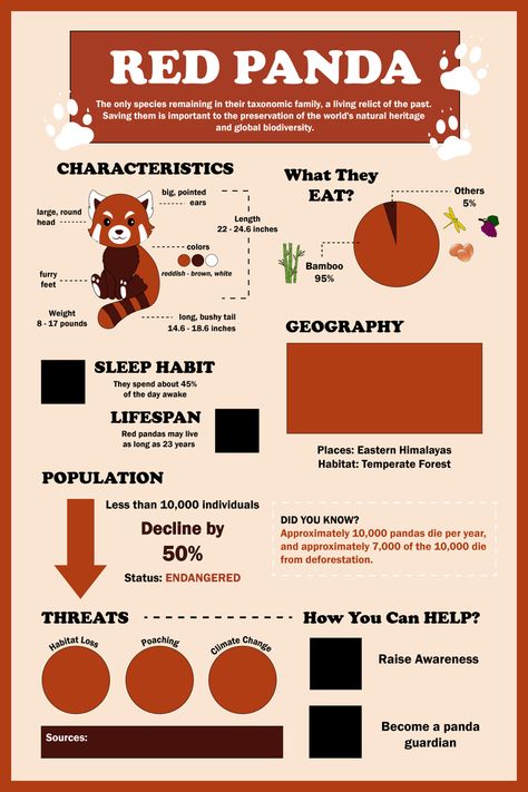 Red Panda Infographic, Animal Infographic Design, Type Poster Design, Endangered Species Project, Panda Birthday Theme, Random Animal Facts, Panda Project, Zoo Sign, Panda Food