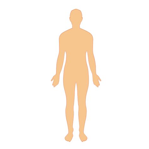 Human body man #AD , #Paid, #Affiliate, #man, #body, #Human Human Decomposition, Facts About Health, Body Png, Human Body Model, Body Man, Man Png, Cartoon Body, Free Psd Design, Playdough Activities