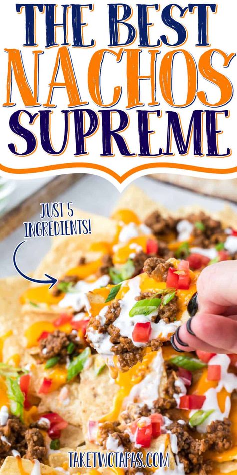 Basic Nachos Recipe, Easy Nachos Recipe Beef, Seasonal Appetizers, Nachos Supreme Recipe, Nacho Night, The Best Nachos, Best Nachos, Nachos Recipe Beef, Nachos Supreme