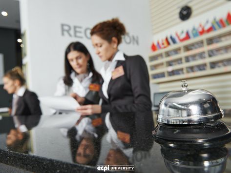 Hospitality Management Career Information for Future Students Cheap Hotel Room, Hotel Jobs, Hotel Marketing, Hotel Reception, Hospitality Management, Tourism Industry, Hotel Price, Hotel Management, Cheap Hotels