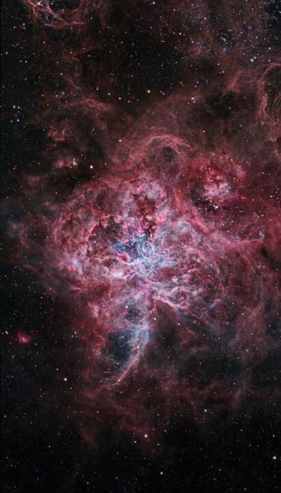 Tarantula Nebula Tarantula Nebula, Magellanic Cloud, Nebulas, Hubble Images, Star Formation, Orion Nebula, Space Artwork, Hubble Space, Space Photos