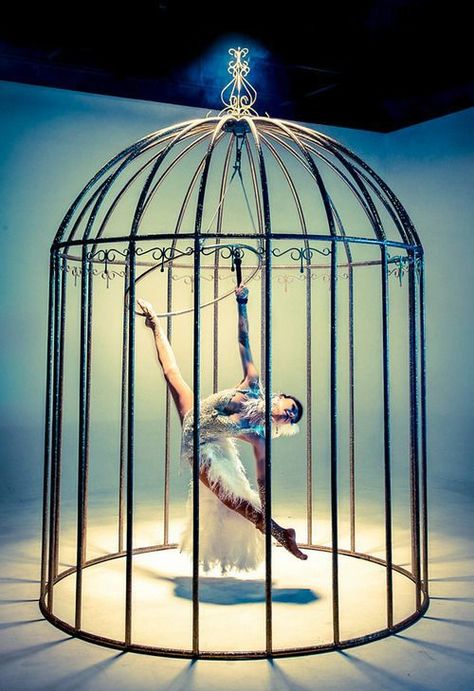 Bird Cage Aesthetic, Cage Aesthetic, Cage Dancer, Caged Bird Sings, Aerial Circus, The Caged Bird, Bird In A Cage, Caged Bird, The Caged Bird Sings