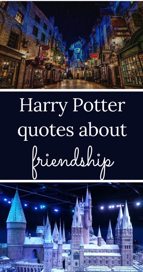 Friendship Quotes From Books, Harry Potter Friendship Quotes, About Friendship Quotes, Dobby Quotes, Spelling Quotes, Harry Potter Friendship, Harry Potter Book Series, Harry Potter Book Quotes, Harry Potter Quotes Inspirational