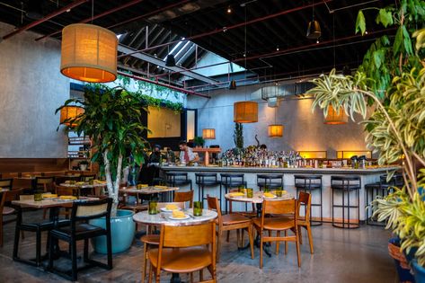 Brooklyn's 11 best new restaurants of 2022 - Brooklyn Magazine Best Bars In Brooklyn, Carroll Gardens Brooklyn, Good Meals, Bohemian Hotel, Hotel Hoxton, Ramen Restaurant, Fulton Street, Bed Stuy, Party Venues