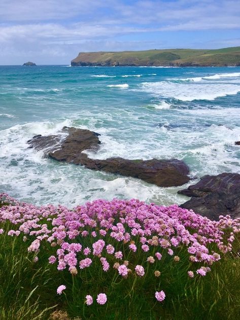 Cornwall Surfing, Polzeath Cornwall, Cornwall Garden, Uk Beaches, Eden Project, Landscape Photography Nature, Vintage Soul, Nature Painting, Summer 24