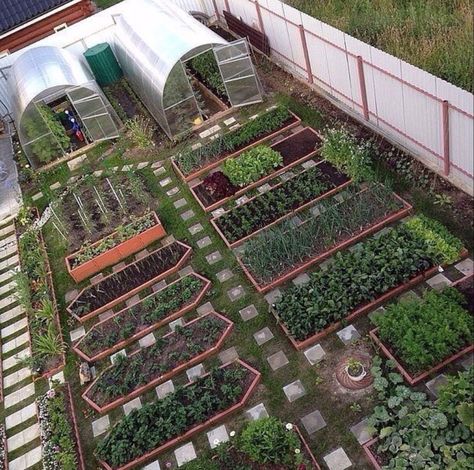 Plantarea Legumelor, Moderne Have, Potager Garden, Backyard Vegetable Gardens, Starting A Garden, Vegetable Garden Design, Garden Layout, Veggie Garden, Farm Gardens