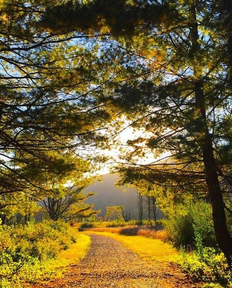 Where's your favorite hike in the Pocono Mountains? 🥾 Here's the view from the McDade Trail in the Delaware Water Gap National Recreation Area. Check out Edge of the Woods Outfitters to rent a bike to enjoy the trail. 🚲 @edgeofthewoodsoutfitters #PoconoMtns #PoconoMountains #FallHikes Poconos Mountains, Delaware Water Gap, Wilmington Delaware, Pocono Mountains, The Trail, Delaware, The View, North Carolina, Gap