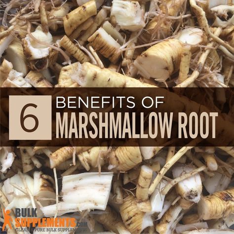 Benefits Of Marshmallow Root, Marshmallow Root Tea Benefits, Marshmallow Root Benefits, Slippery Elm Benefits, Marshmallow Herb, Sore Throat Remedies For Adults, Herbalist Recipes, Bulk Supplements, Marshmallow Root Tea