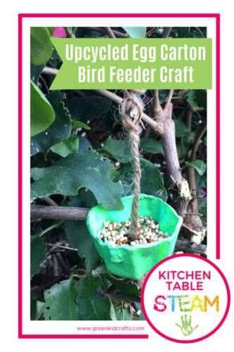 Winter Bird Feeders, Craft For Spring, Craft Bird, Make A Bird Feeder, Bird Feeder Craft, Crafts Spring, Egg Craft, Upcycle Crafts Diy, Nature Education