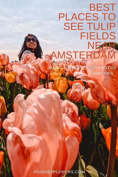 #Tulips #Amsterdam #KeukenhofGardens #Lisse #Hillegom #TulipSeason #Netherlands #TravelTips. Day Trips From Amsterdam, International Travel Tips, Netherlands Travel, Beautiful Travel Destinations, Spring Trip, Ways To Travel, Europe Travel Destinations, Europe Travel Tips, International Travel