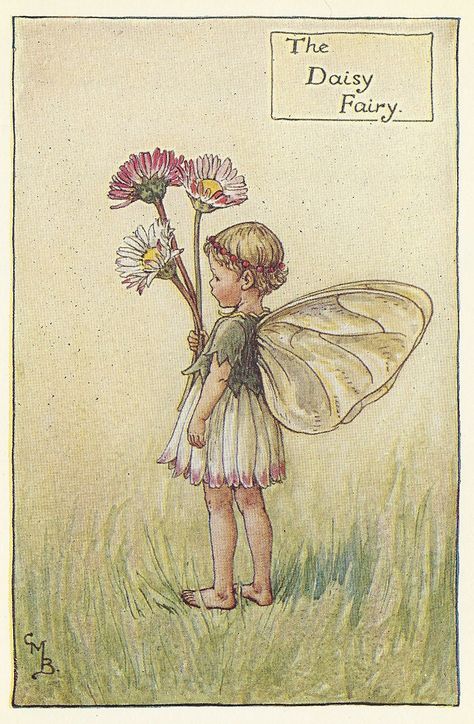 cicely mary barker - Google Search Daisy Fairy, Cicely Mary Barker, Fairy Tattoo, Forest Illustration, Vintage Fairies, Watercolor Artists, Flower Fairies, Mystical Creatures, Flower Fairy