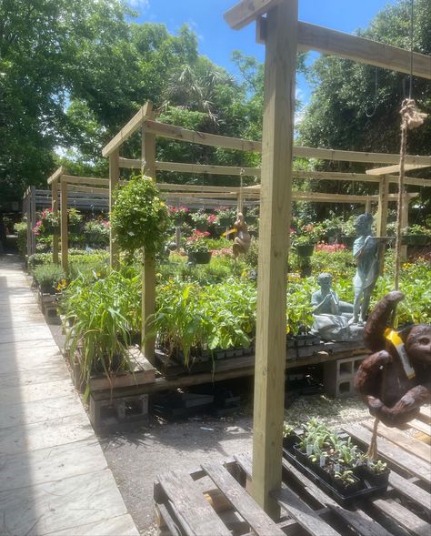 School Garden Club, School Building Design, Aspen House, Green School, School Interior, Aesthetic Garden, School Clubs, Garden Nursery, School Garden