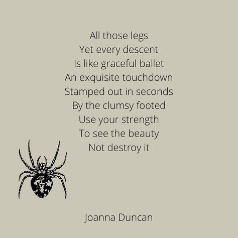 Joanna Duncan on Instagram: “#poetry #spider #beauty #nature #superheroes #poem #nature #earth #planet #igpoetry #igwriters #writingcommunity #poetcommunity…” Insect Poem, Bug Poetry, Planet Poetry, Bug Poem, Spider Quotes, Spider Poem, Poem Nature, Misunderstood Quotes, Instagram Poetry