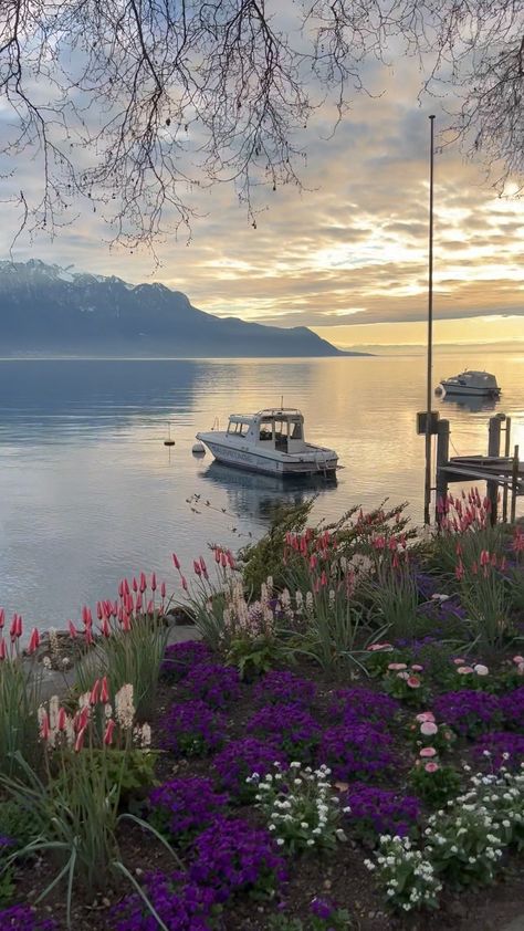 Montreux Switzerland Aesthetic, Spring Switzerland, Switzerland Nature, Montreux Switzerland, Flowers Cottagecore, Calming Nature, Beauty Plan, Sunset Lake, Switzerland Travel