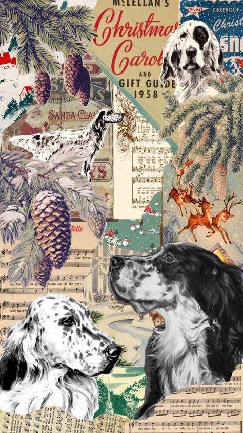 #englishsetter #dog #christmas #vintagechristmas #vintage #retro Dog Christmas, Your Aesthetic, Connect With People, Creative Energy, Energy, Christmas