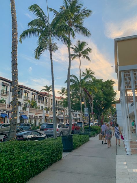 Florida Apartments, Miss Florida, Preppy Vsco, Miami Orlando, Aesthetic Preppy, Florida Photography, Florida City, Florida Girl, Moving To Florida