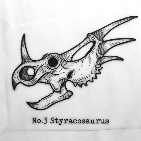 SOLD One of my favourites innit - - -  #dinosaurtattoo #dinosaur #dinosaurs #styracosaurus #skull #skulltattoo #fossil #fossiltattoo… Styracosaurus Skull, Triceratops Tattoo, Dr Alan Grant, Alan Grant, Dinosaur Tattoos, Animal Skeletons, Dinosaur Drawing, Skull Drawing, Dinosaur Art