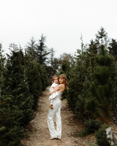 🎄 It’s Time! Christmas Tree Farm Mini Sessions Are Here! 🎄   Hello Lovely Families!   I can’t tell you how excited I am—it’s time for my **Annual Christmas Tree Farm Mini Sessions**! These are hands-down some of my favorite sessions of the entire year. There’s something so special about capturing the holiday spirit, the joy in your children’s faces, and the love filling the air as families gather among the evergreens. This is where memories are made, and I absolutely *live* for these moments!... Tree Farm Family Christmas Pictures, Field Christmas Photoshoot, Christmas’s Tree Farm Photos, Tree Farm Holiday Photos, Modern Christmas Family Photos, Baby Tree Farm Pictures, Christmas Minis Tree Farm, Christmas Pictures At Tree Farm, Tree Farm Session