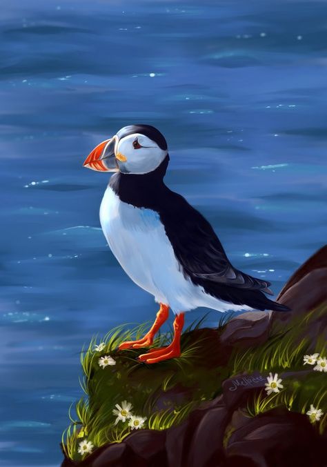 https://www.deviantart.com/mellodee/art/Atlantic-Puffin-678879132 Puffin Art, Weird Birds, Atlantic Puffin, Puffins Bird, Stained Glass Birds, Glass Art Projects, Watercolor Pictures, Mosaic Ideas, Airbrush Art