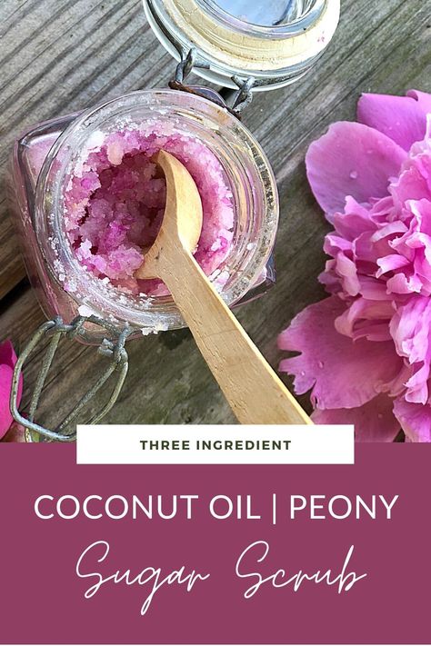 Coconut Oil-Peony Sugar Scrub is a super simple three ingredient sugar scrub that is the perfect gift idea to keep or share this summer. Easy Sugar Scrub, Diy Body Scrub Recipes, Lip Scrub Homemade, Body Scrub Recipe, Lip Scrub Diy, Homemade Lip Balm, Sugar Scrub Recipe, Diy Body Scrub, Sugar Scrub Diy