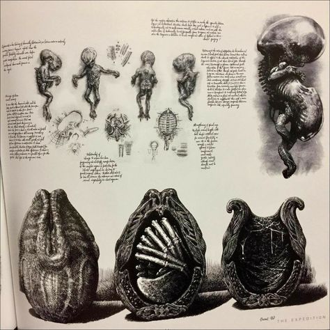 H.R Gigger's drawing of the Face hugger's. Alien Art Drawing, Xenomorph Egg, Hr Giger Art, Giger Alien, Predator Alien Art, Giger Art, Alien Artwork, Arte Alien, Aliens Movie