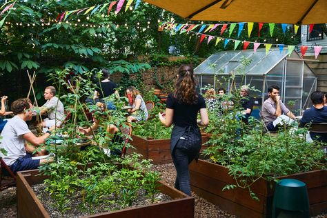 Community Cafe, At Home Garden, Watermelon Punch, Marcella Hazan, Plant Vegetables, Tattoo Garden, When To Plant Vegetables, Garden Tattoos, Community Gardens