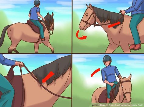 How to Teach a Horse to Neck Rein: 15 Steps (with Pictures) Training Horses, Equine Veterinary, American Quarter Horse Association, Horse's Neck, Horse Exercises, Horse Care Tips, Horse Info, Equestrian Helmet, Horse Training Tips