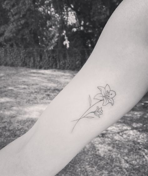 Fine line floral lily tattoo minimal May Lilly Flower Tattoo, Line Lily Tattoo, Fine Line Lily, Fine Line Lily Tattoo, Small Lily Tattoo, Amaryllis Tattoo, Lilly Flower Tattoo, Stargazer Lily Tattoo, Tiger Lily Tattoos