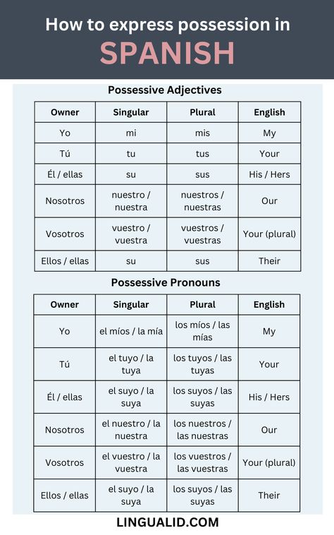 How To Express Possession In Spanish – The Complete Guide Conversation In Spanish, Spanish Basics Conversation, How To Pronounce Spanish Words, Teach Yourself Spanish, Esl For Spanish Speakers, Spanish Help, Useful Spanish Phrases, Spanish Words For Beginners, Basic Spanish Words