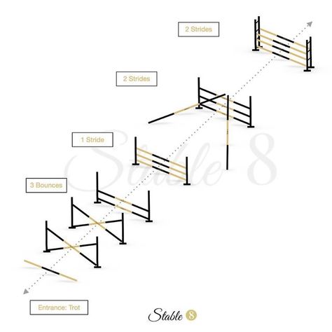 Jumping Grids For Horses, Grid Exercises For Horses, Horse Training Exercises Show Jumping, Horse Grid Exercises, Horse Jump Exercises, Grid Work For Horses, Gridwork For Horses, Show Jumping Exercises, Jump Exercises Horse