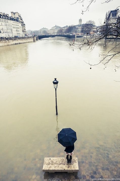 paris in the winter by guillaume gaudet. there's something wonderfully gloomy about this. Jacques Cousteau, Paris Winter, Umbrella Art, Singing In The Rain, I Love Paris, Paris Paris, Pics Art, Oh The Places Youll Go, Beautiful Photography