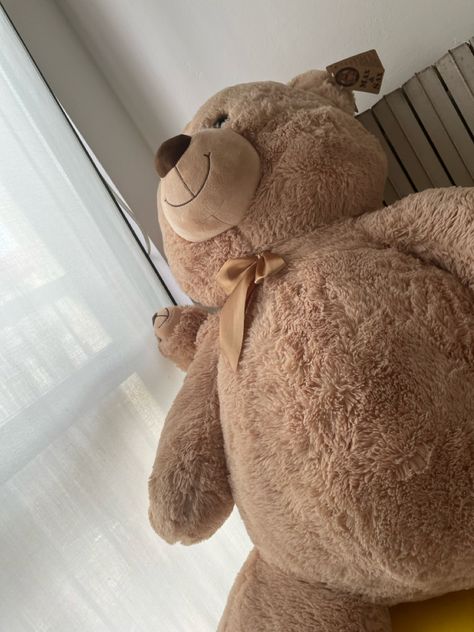 A human size brown teddy bear laying in the floor Stuffed Animal Bear Aesthetic, Large Teddy Bear Aesthetic, Human Size Teddy Bear, 6ft Teddy Bear, Massive Teddy Bear, Giant Bear Plush, Bday Wishes, 18th Bday, Bear Plush