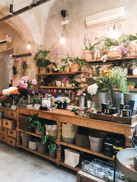 Florist Shop Interior, Florence Travel Guide, Flower Shop Interiors, Space The Final Frontier, Flower Shop Decor, Flower Shop Design, Florence Travel, Tips For Traveling, Florence Tuscany