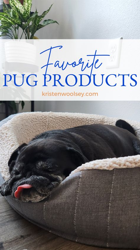 Old Pug, Best Amazon Products, Best Brushes, A Pug, Best Amazon, Pug, Roxy, Lifestyle Blog, Car Seats