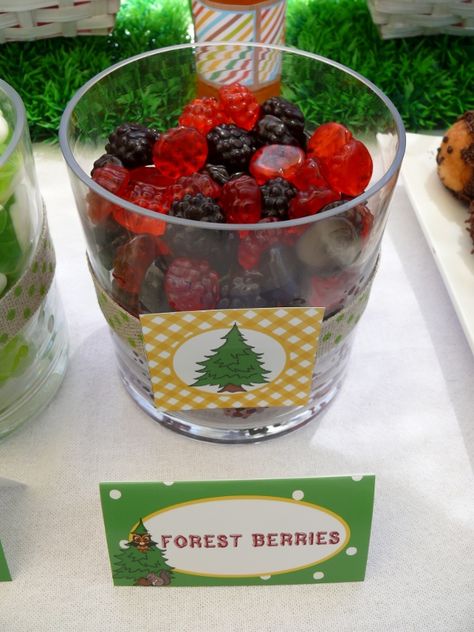 Woodlands Party - Forest Berries Fruit Bar Ideas, Forest Berries, 4de Verjaardag, Lumberjack Birthday Party, Tent Camping Hacks, Lumberjack Baby Shower, Lumberjack Birthday, Lumberjack Party, Forest Birthday