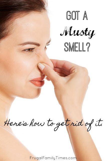 Musty Smell In House, Environmental Wellness, Smell Clean, Mobile Home Makeover, Getting Rid Of Mice, Fabric Refresher, Homemaking Tips, Frugal Family, Mommy Tips