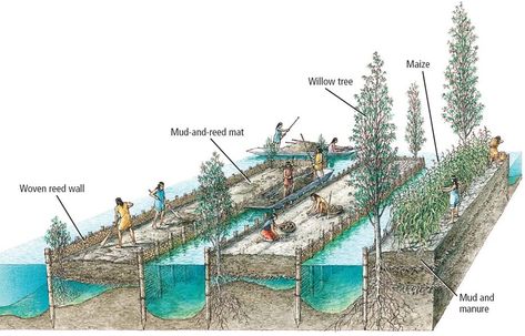 Garden Worksheet, Eco Construction, Ancient Aztecs, Floating Garden, Urban Agriculture, Agricultural Land, Permaculture Design, Earthship, Survival Skills