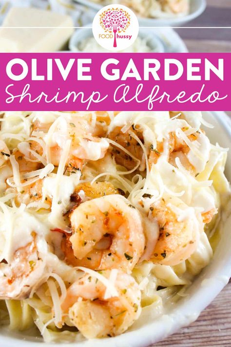 Olive Garden Shrimp Alfredo, Recipe Alfredo Sauce, Pasta Alfredo Receta, Fetuccini Alfredo, Shrimp Alfredo Pasta Recipes, Olive Garden Alfredo Sauce Recipe, Shrimp Pasta Recipes Easy, Alfredo Sauce Recipe Homemade, Pasta Recipes Alfredo